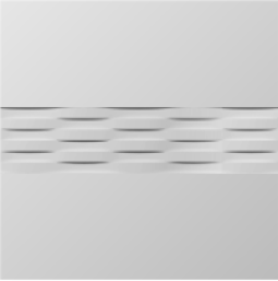 L1