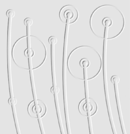 L4