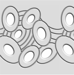 L4