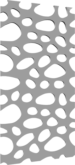 WS8