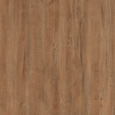 Lakeland Oak 03